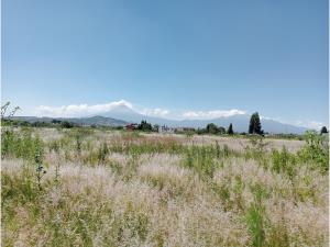 Terreno en venta en San Juan Cuautlancingo, Cuautlancingo — foto 2 de 8