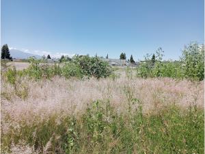 Terreno en venta en San Juan Cuautlancingo, Cuautlancingo — foto 3 de 8