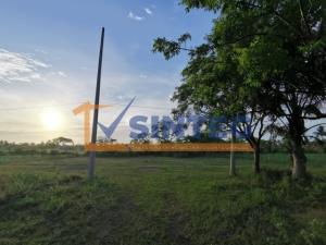 Terreno en venta en La Guadalupe, Tecolutla — foto 2 de 5