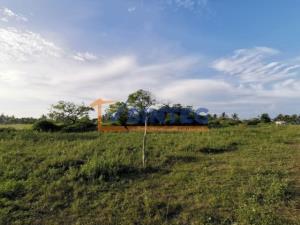 Terreno en venta en La Guadalupe, Tecolutla — foto 3 de 5