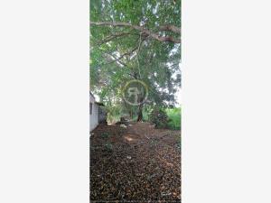 Terreno en venta en Cuautlixco, Cuautla — foto 2 de 11