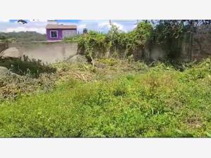 Terreno en venta en Xico, Xico — foto 3 de 3