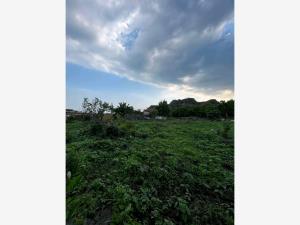 Terreno en venta en Santo Domingo Ocotitlán, Tepoztlán — foto 3 de 8