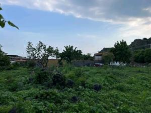 Terreno en venta en Santo Domingo Ocotitlán, Tepoztlán — foto 2 de 8
