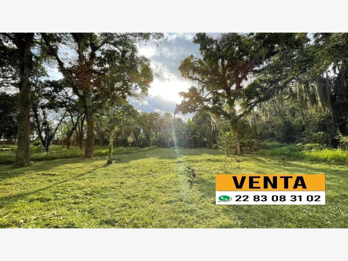Terreno en venta en Briones, Coatepec — foto 1 de 3