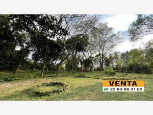 Terreno en venta en Briones, Coatepec — foto 3 de 3
