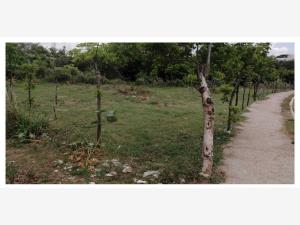 Terreno en venta en Xana, Veracruz, Veracruz de Ignacio de la Llave