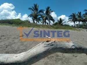Terreno en venta en Ricardo Flores Magón, Tecolutla — foto 3 de 7