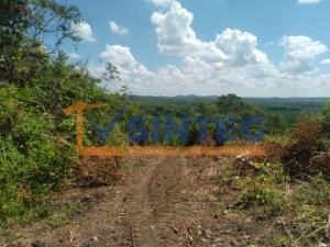 Terreno en venta en Tihuatlan Centro, Tihuatlán — foto 2 de 7