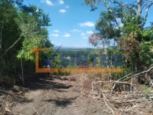 Terreno en venta en Tihuatlan Centro, Tihuatlán — foto 3 de 7