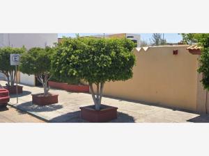 Casa en venta en Zona Central, La Paz — foto 3 de 14