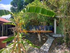 Terreno en venta en Chapultepec, Poza Rica de Hidalgo — foto 2 de 7