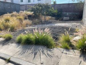 Terreno en venta en Tres Marías, Morelia — foto 3 de 4