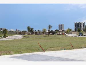 Terreno en venta en Las Lomas Residencial, Alvarado — foto 3 de 5