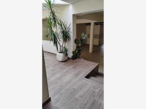 Casa en venta en Lomas de la Selva, Cuernavaca — foto 2 de 26
