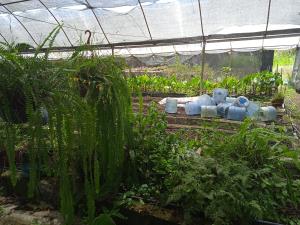 Terreno en venta en El Lencero, Emiliano Zapata — foto 2 de 8