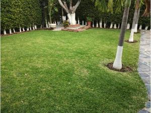 Casa en venta en Lomas de Cocoyoc, Atlatlahucan — foto 2 de 26