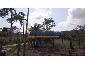 Terreno en venta en Totomoxtle, Papantla, Veracruz de Ignacio de la Llave