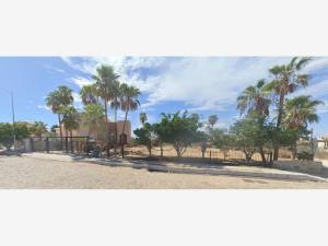 Casa en venta en San Jose del Cabo Centro, Los Cabos — foto 2 de 17