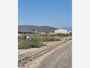 Terreno en venta en Parras de la Fuente Centro, Parras — foto 2 de 4