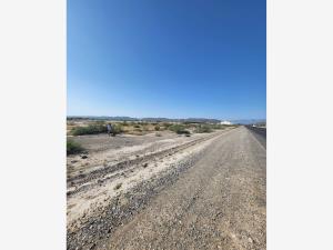 Terreno en venta en Parras de la Fuente Centro, Parras — foto 3 de 4