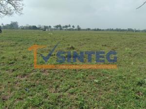 Terreno en venta en Casitas, Tecolutla — foto 3 de 7