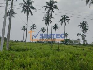 Terreno en venta en Riachuelo, Tecolutla — foto 2 de 6