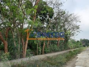 Terreno en venta en Primavera, Poza Rica de Hidalgo — foto 2 de 6