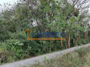 Terreno en venta en Primavera, Poza Rica de Hidalgo — foto 3 de 6