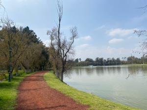 Terreno en venta en Las Culturas, Zinacantepec — foto 3 de 10