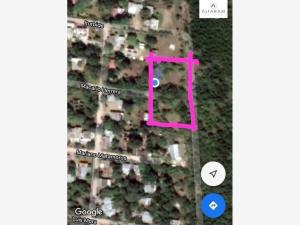 Terreno en venta en Aquiles Serdán (El Barranco), Altamira — foto 3 de 3
