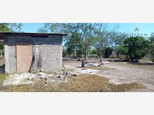 Terreno en venta en Aquiles Serdán (El Barranco), Altamira — foto 2 de 3