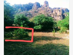 Terreno en venta en Amatlán de Quetzalcóatl, Tepoztlán — foto 2 de 3