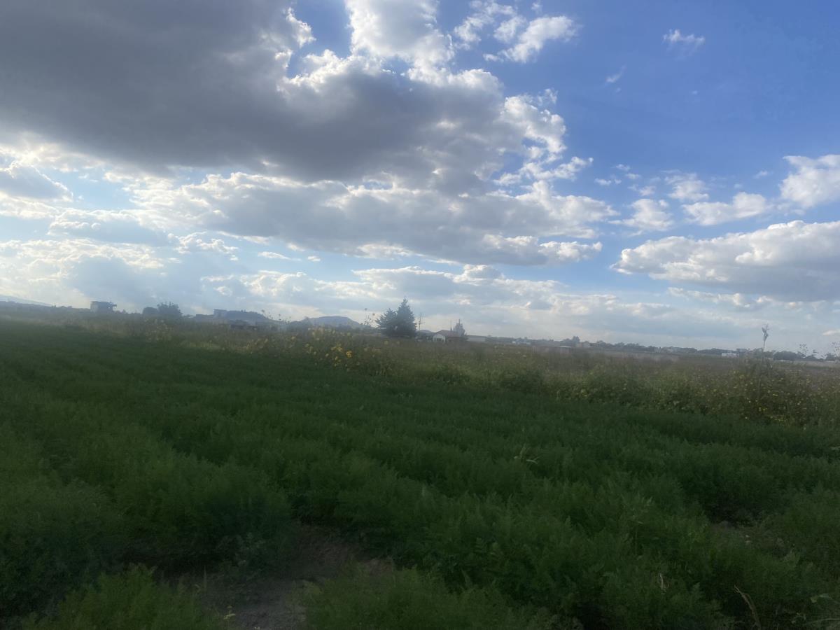 Terreno en venta en San Miguel Totocuitlapilco, Metepec — foto 1 de 4