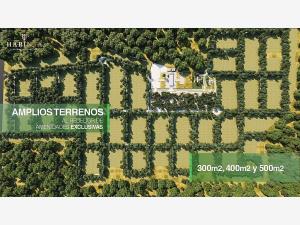 Terreno en venta en Merida Centro, Mérida — foto 2 de 10