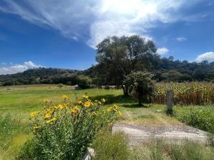 Terreno en Barajas, Chapa de Mota, México