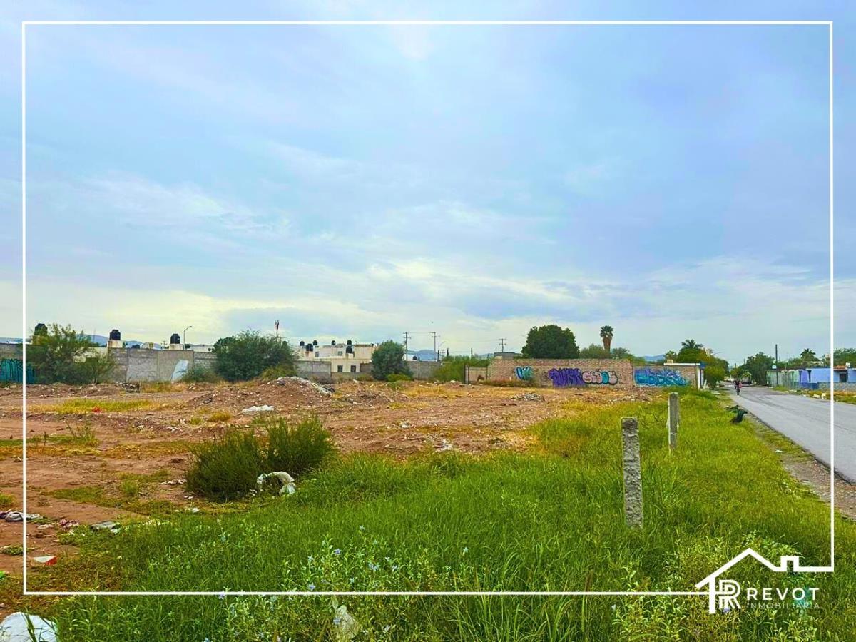 Terreno en Venta en Buenos Aires, Torreón, Coahuila de Zaragoza