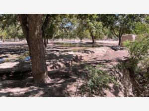 Finca-Rancho en venta en Rincon del Montero, Parras — foto 3 de 8
