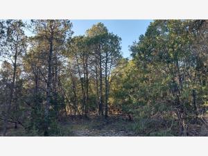 Terreno en venta en El Diamante, Arteaga — foto 2 de 8