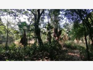 Terreno en venta en Leandro Valle, Jonacatepec de Leandro Valle — foto 2 de 25