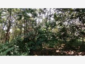 Terreno en venta en Leandro Valle, Jonacatepec de Leandro Valle — foto 3 de 25
