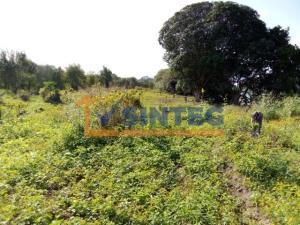 Terreno en venta en Frijolillo, Tuxpan — foto 3 de 8