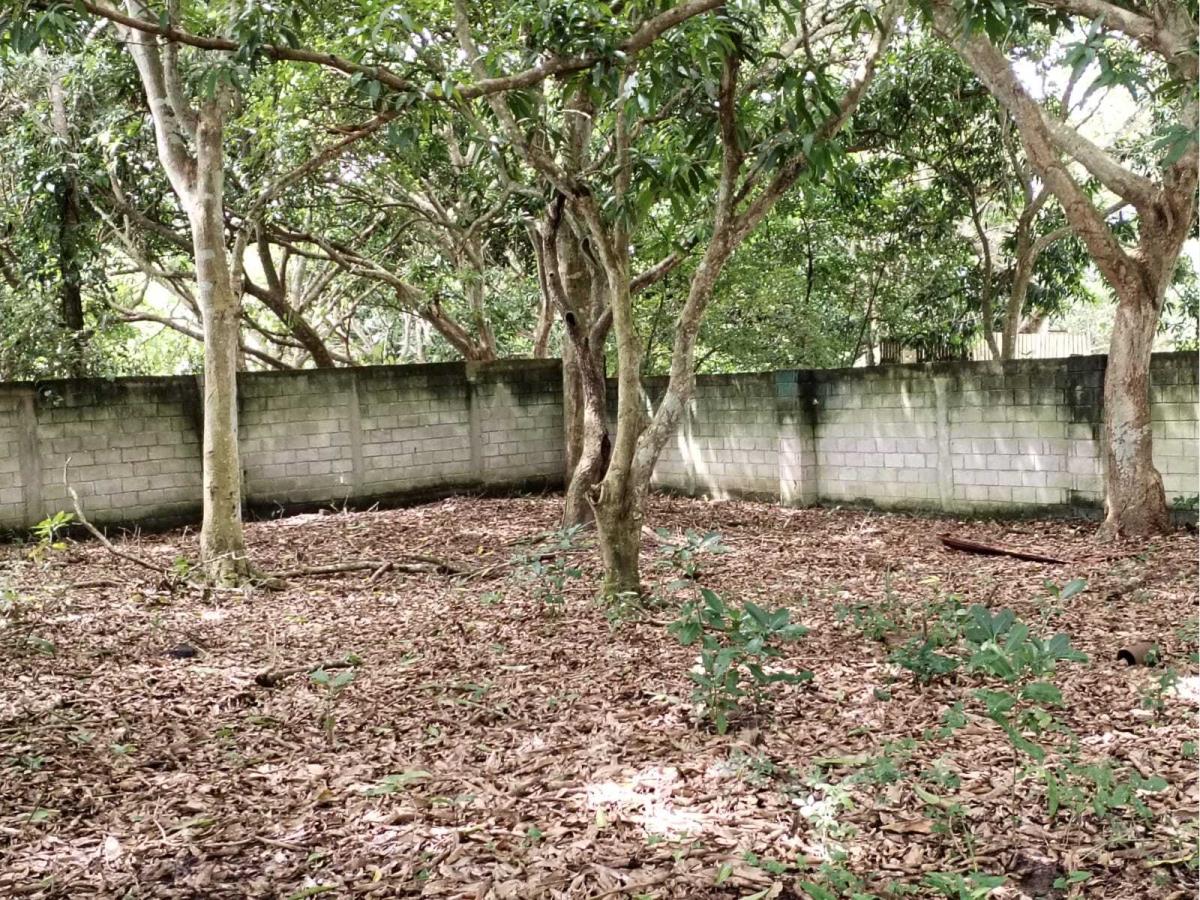 Terreno en venta en El Zapote, Alvarado — foto 1 de 6