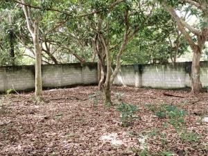 Terreno en venta en El Zapote, Alvarado, Veracruz de Ignacio de la Llave