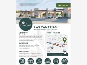Terreno en venta en Quintas del Palmar, Torreón — foto 2 de 7