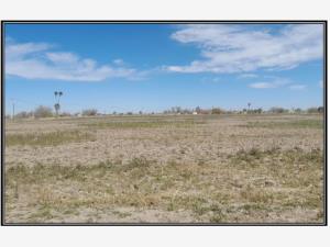 Terreno en venta en La Popular, Gómez Palacio — foto 2 de 4