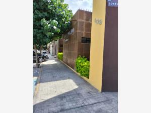 Consultorio en renta en Torreon Centro, Torreón — foto 2 de 11