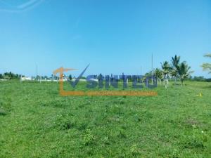 Terreno en venta en La Guadalupe, Tecolutla — foto 3 de 7