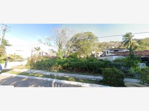 Terreno en venta en Sector F, Santa María Huatulco — foto 2 de 8