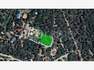 Terreno en venta en San Antonio de las Alazanas, Arteaga — foto 2 de 11